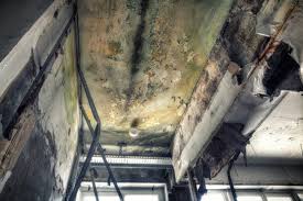 Professional Mold Removal in Osceola Mills, PA